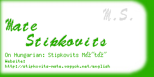 mate stipkovits business card
